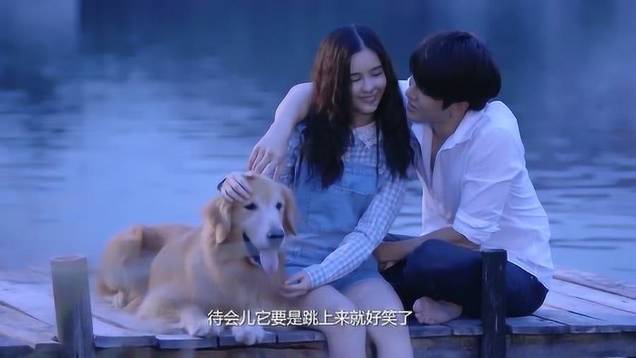 燃烧吧大脑免广告最新版